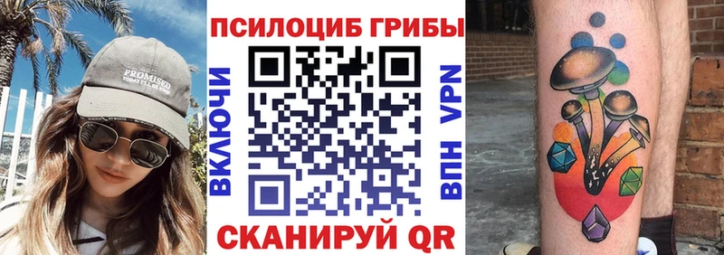 Галлюциногенные грибы мицелий  Александровск 
